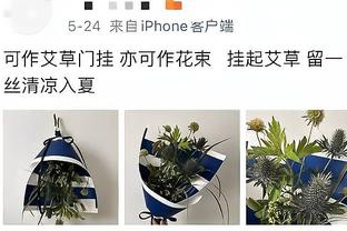 进球网评沙特联半程最佳阵：C罗领衔内维斯在列，新月7人胜利4人