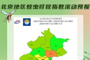 月最佳：东契奇场均32.5分10.1板10.1助 布伦森场均28.8分5.8助